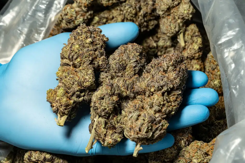 商业宣传片拍摄中的光影运用技巧与品牌形象塑造要点